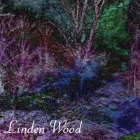 Linden Wood